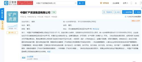新央企中国矿产资源集团成立 聚焦信息咨询服务，赋能产业发展