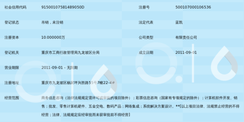 重庆乐透商务 助力企业决策的专业信息咨询服务解析